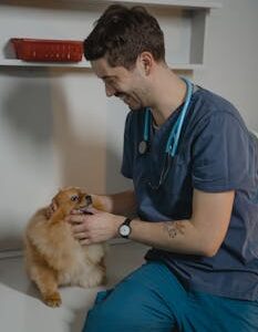 Smiling veterinarian examines a Pomeranian dog during a checkup in a veterinary clinic.